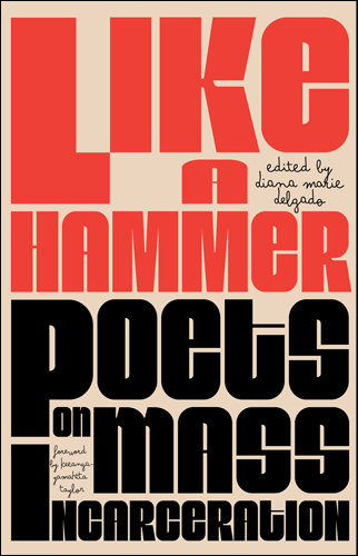 Like a Hammer | Diana Marie Delgado